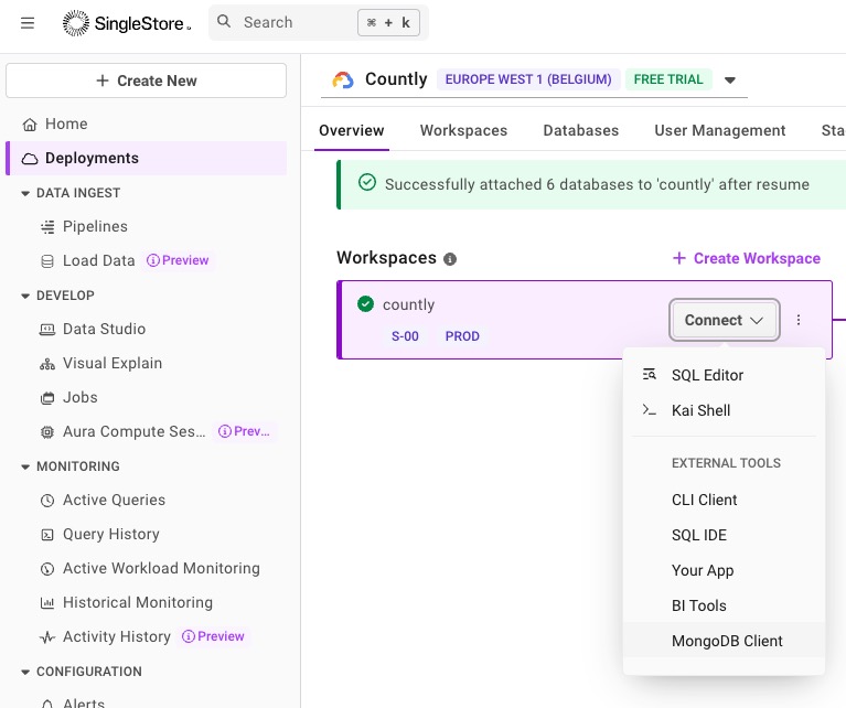 Screenshot 2025-03-03 at 13.54.28.jpg
